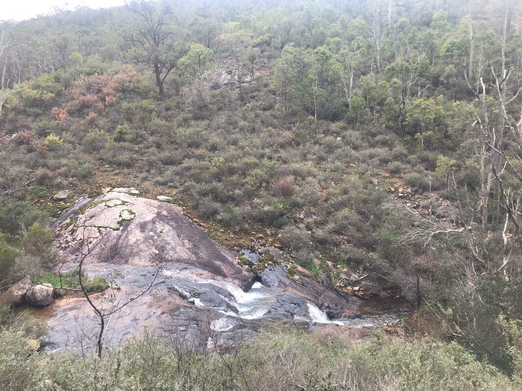 walking near me in Gooralong Conservation Park in summer