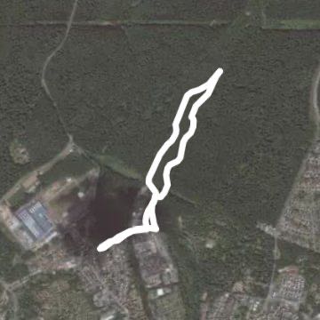 Burbacher Waldweiher