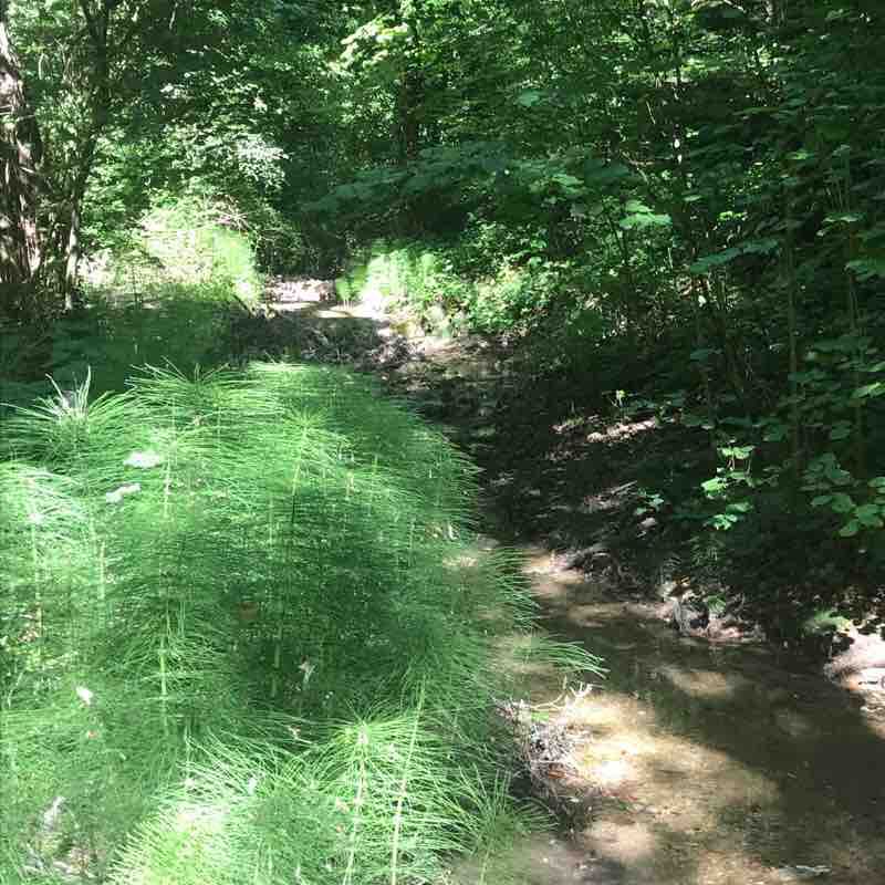 Val sorded Jung the walking route map in Bardolino