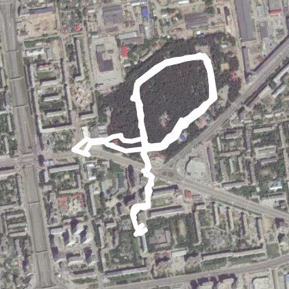 Березовая роща