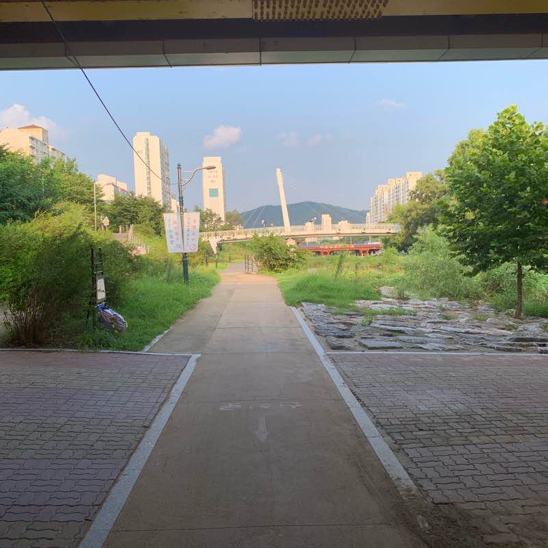 성남 분당 탄천러닝콧ㅡ