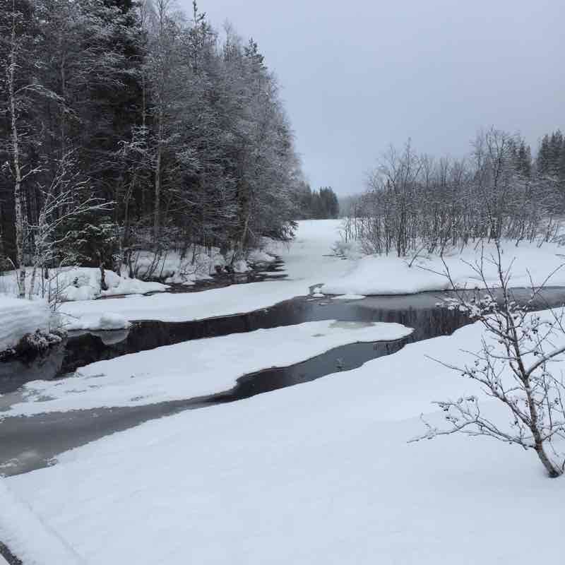 Finland. Winter ski trip walking route map in Naamanka