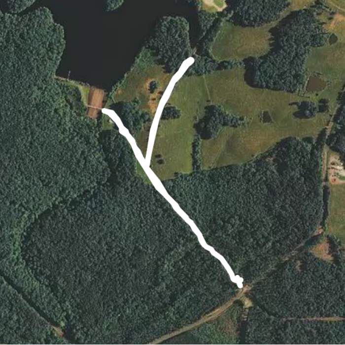 Lake holt Walk Trail Stem, North Carolina, USA Pacer