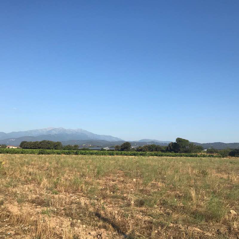 Boulou walking route map in Saint-Jean-Pla-de-Corts