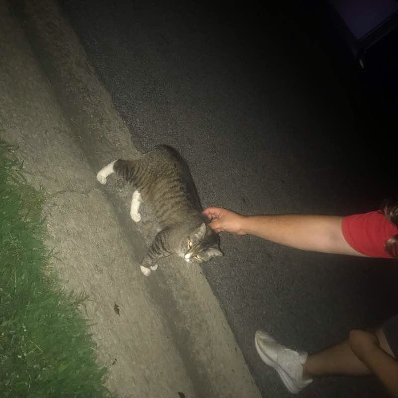 Fox hollow Walk Trail Pell City, Alabama, USA Pacer