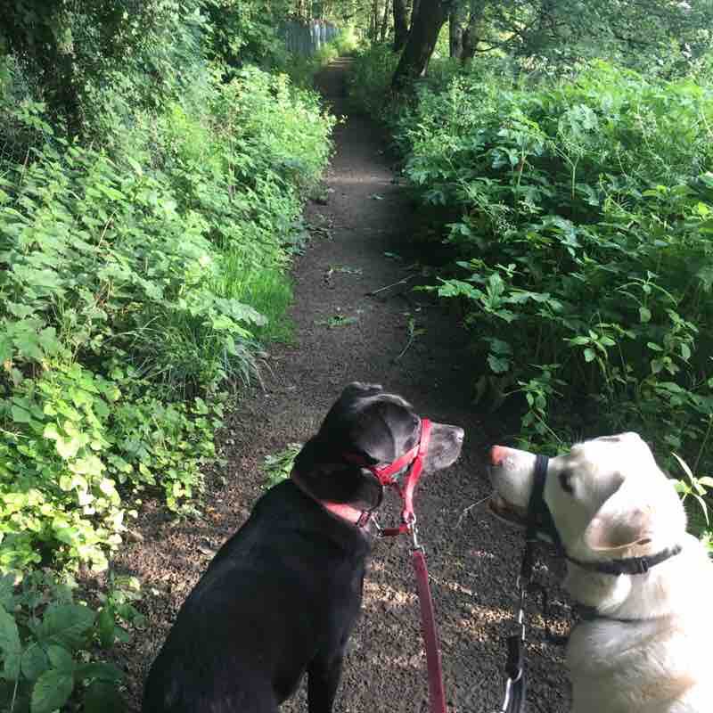 Sowerby bridge canal Walk Trail Halifax, England Pacer