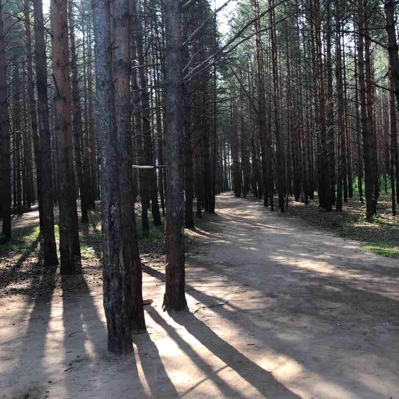 Buzz walking route map in Chaykovsky