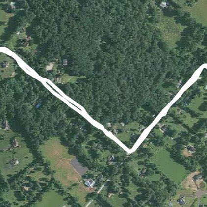 Barley’s Morning Walk