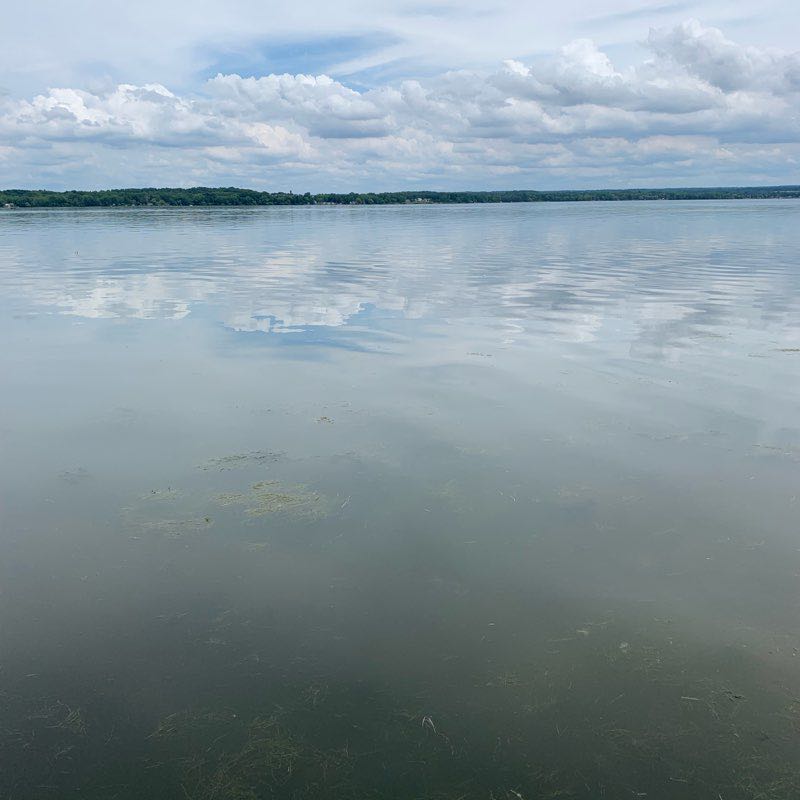 Cayuga Lake Prk walking route map in Cayuga