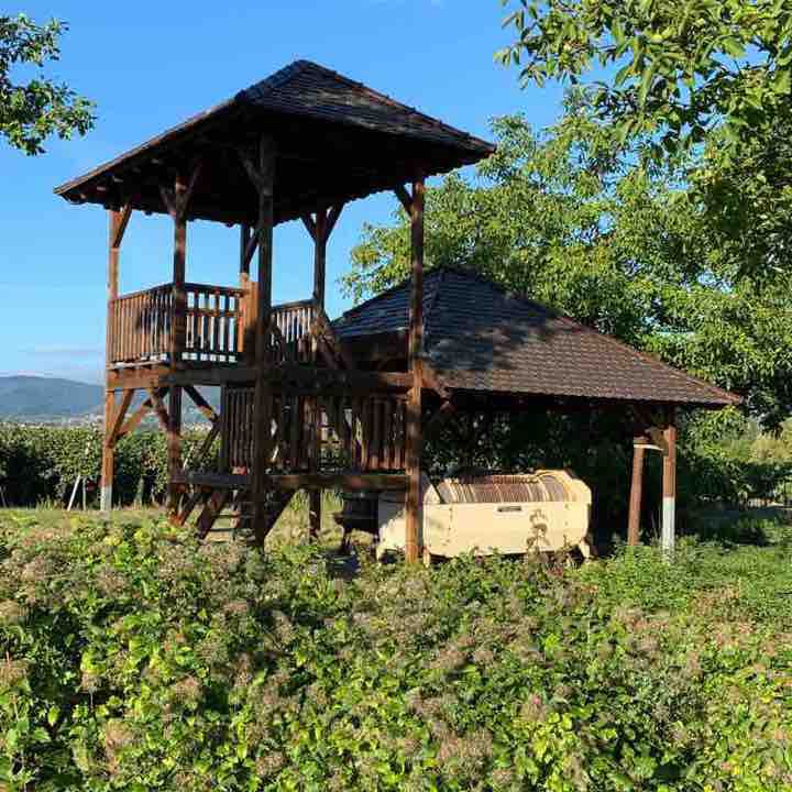 Edenkoben - Venningen - Kirrweiler walking route map in Venningen