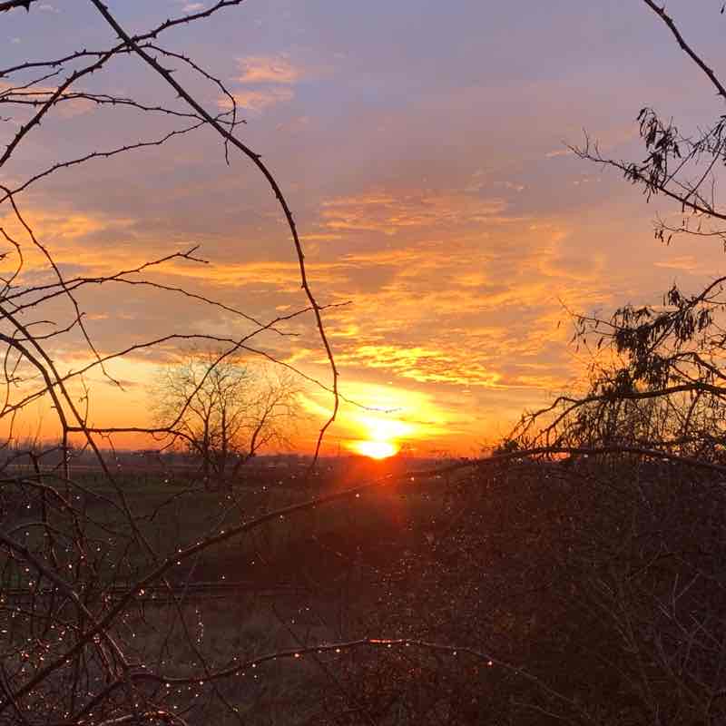 Edenkoben-Edesheim, circular route at sunrise 🌄 walking route map in Venningen