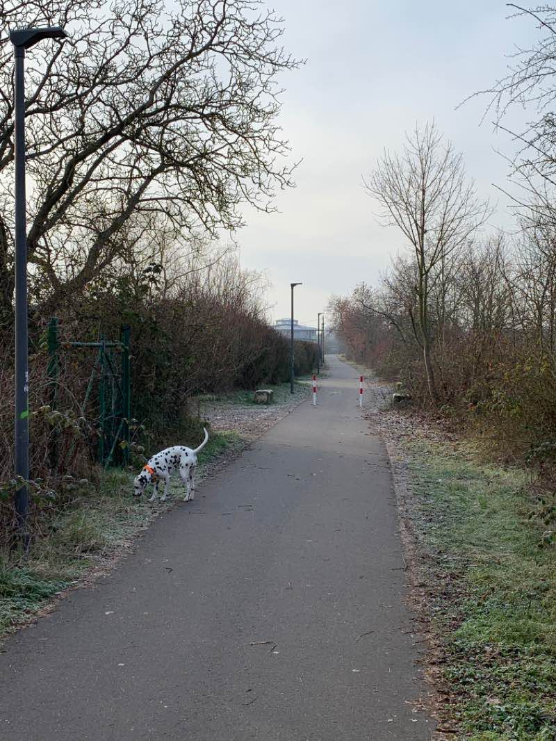 walking near me on Landesgartenschau und Ebenberg walking route