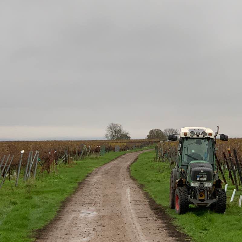 Altdorf - Venningen - Duttweiler walking route map in Altdorf