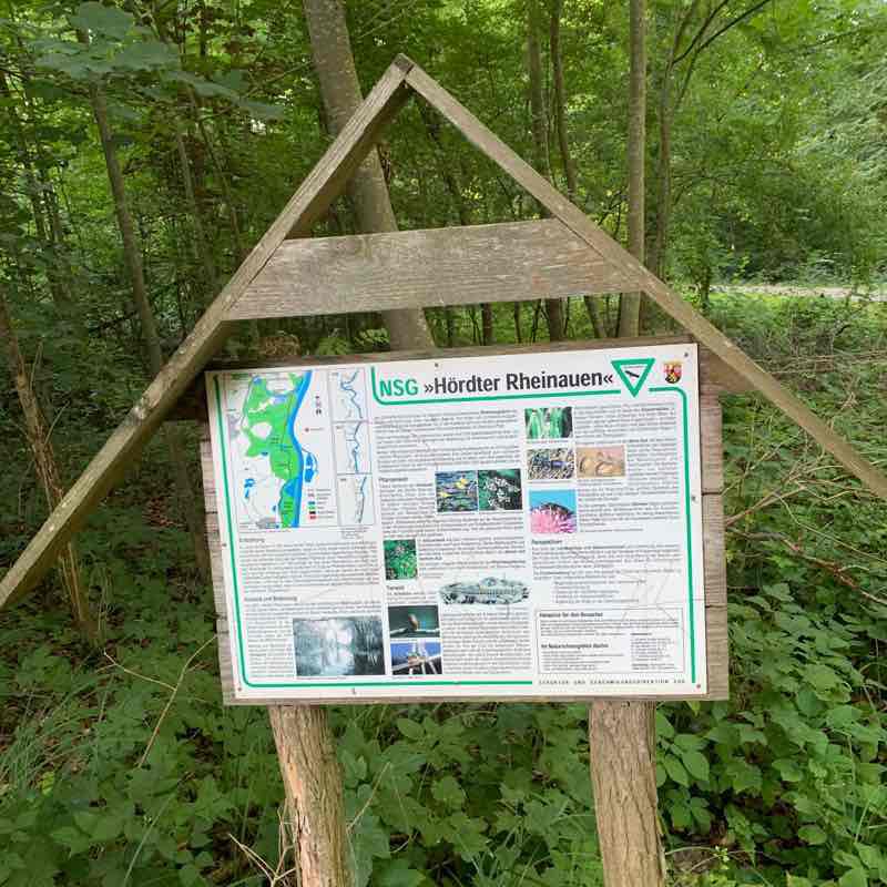 Hördter Rheinauen walking route map in Hördt