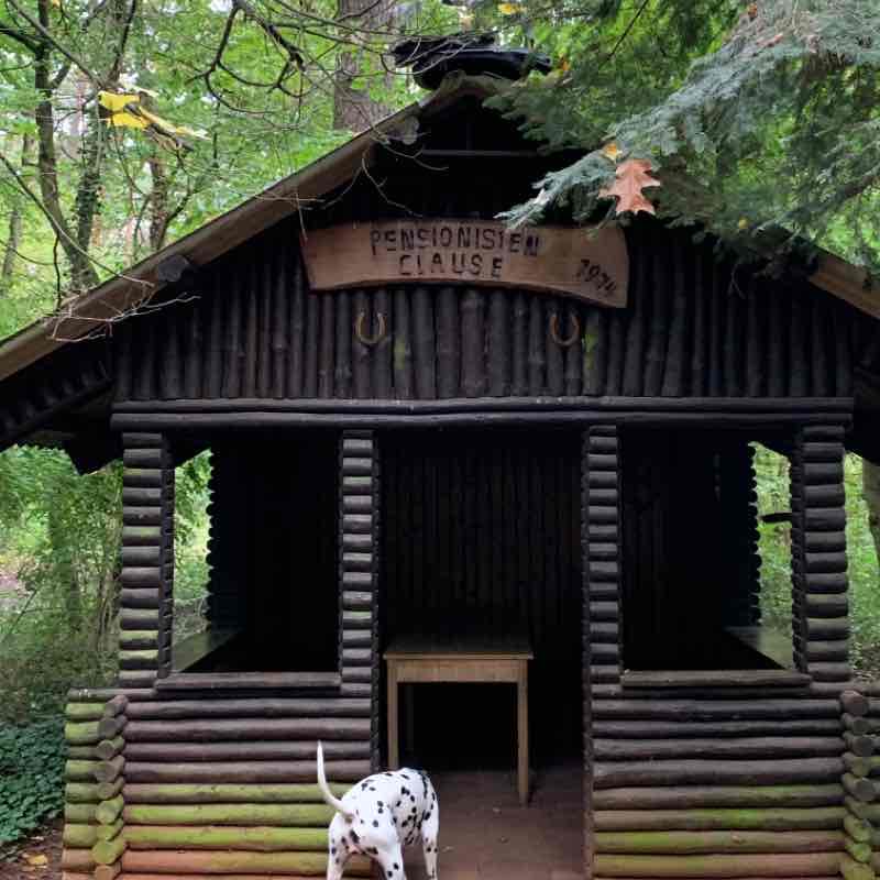 Pilzwanderung🍄 around Pensionistenklause Hassloc walking route map in Haßloch