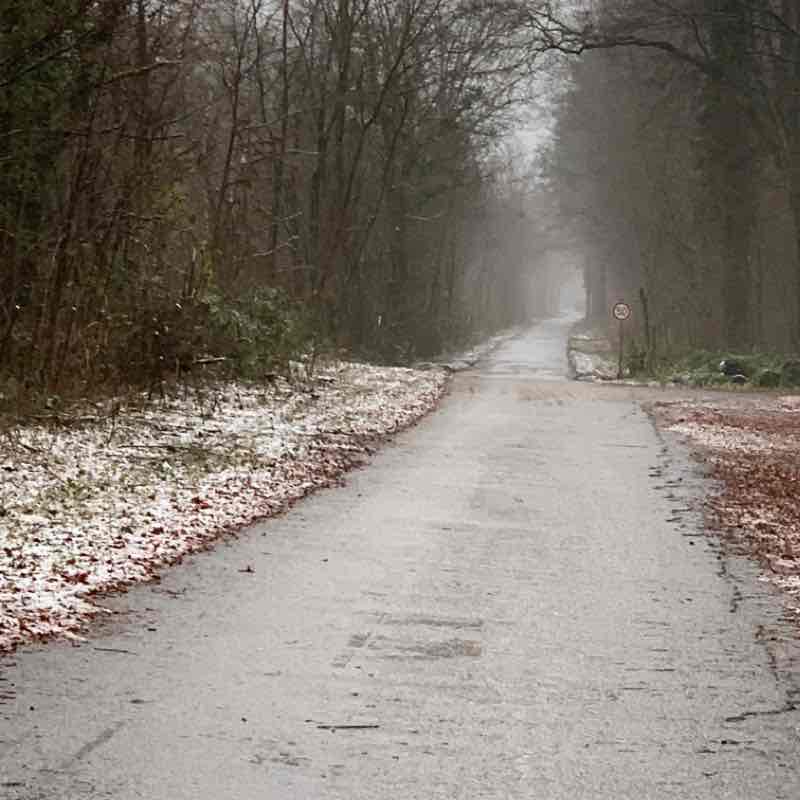 Hochstadt-Seppl Herberger Weg walking route map in Hochstadt (Pfalz)