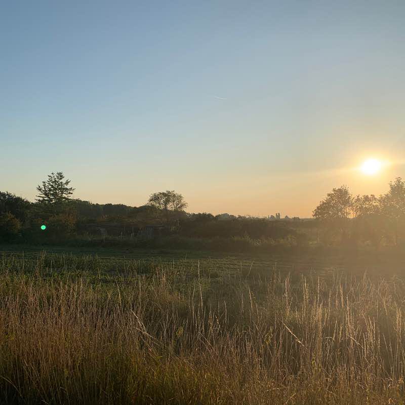 Ruppertsberg - Niederkirchen - Meckenheim walking route map in Meckenheim
