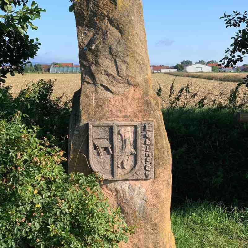 Altdorf Gäuschule / Freimersheim / Böbingen-Rundweg walking route map in Freimersheim (Pfalz)