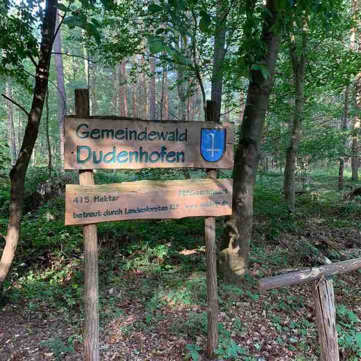 Circular Dudenhofen - Speyerer sand dunes walking route map in Speyer