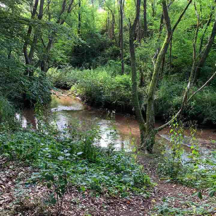 Rinnthal - circular route walking route map in Rinnthal
