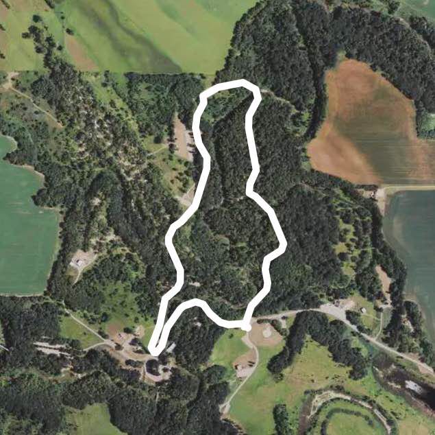 Turtle river state park Run Arvilla, North Dakota, USA Pacer