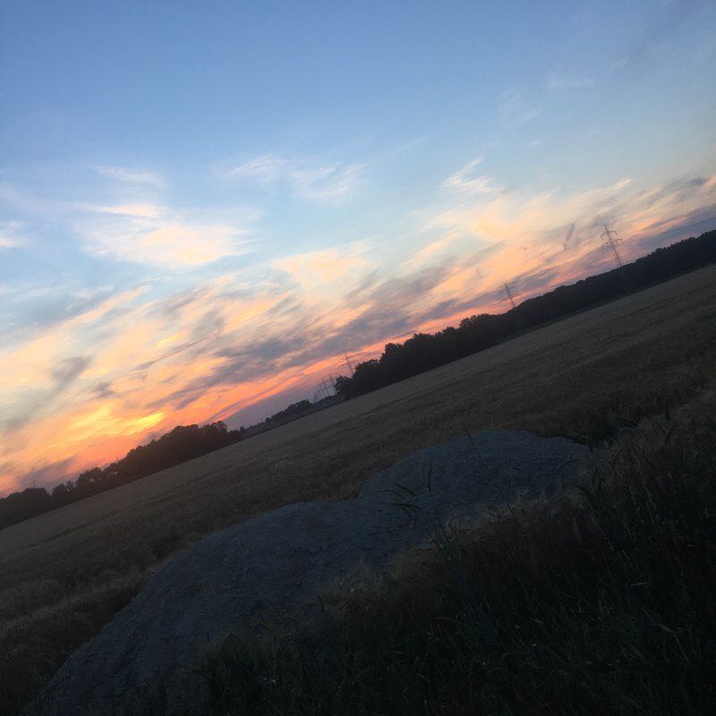 Evening run walking route map in Sehnde