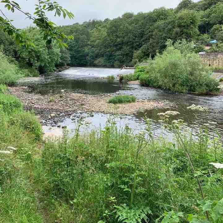Quarry to old mill waterfall through golf course walking route map in Colnebridge
