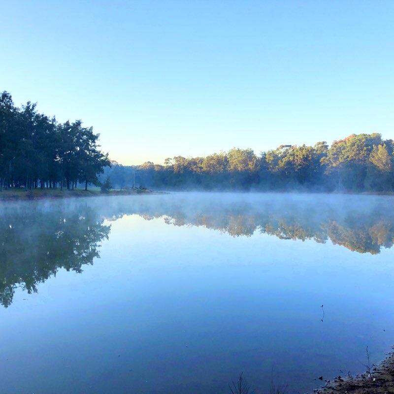 Shortland Brush walking route map in Lansdowne