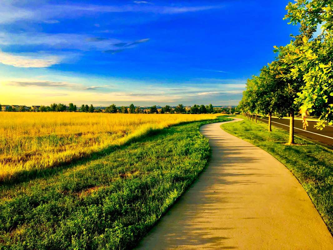 walking near me in Quail Creek Park in winter
