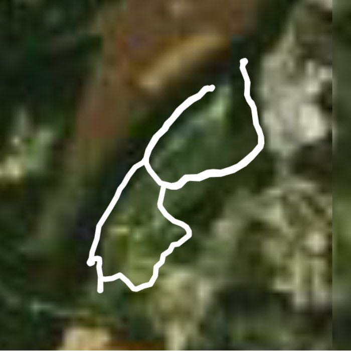 Liberty Park Nature Walk