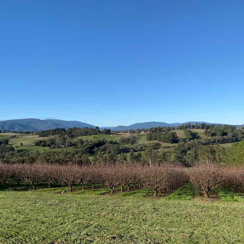 Home 2km walking route map in Bonnie Doon