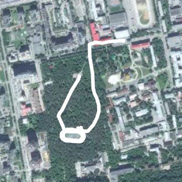 зеленая роща