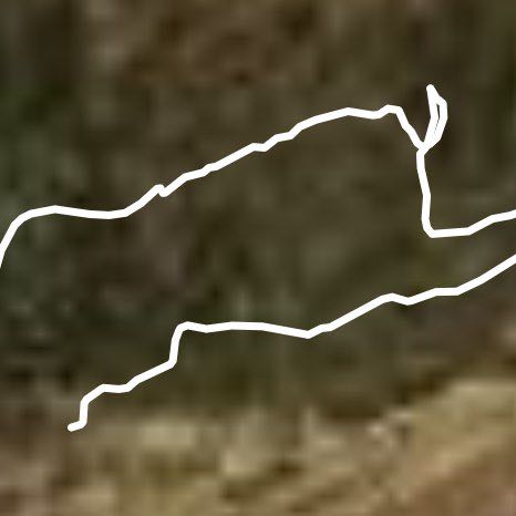 Old greenwood walking route map in Truckee