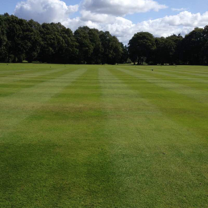 Quick go to the park 