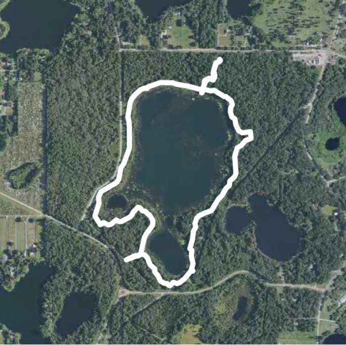 Lake rogers park 2.5 mile trail Walk Odessa, Florida, USA Pacer