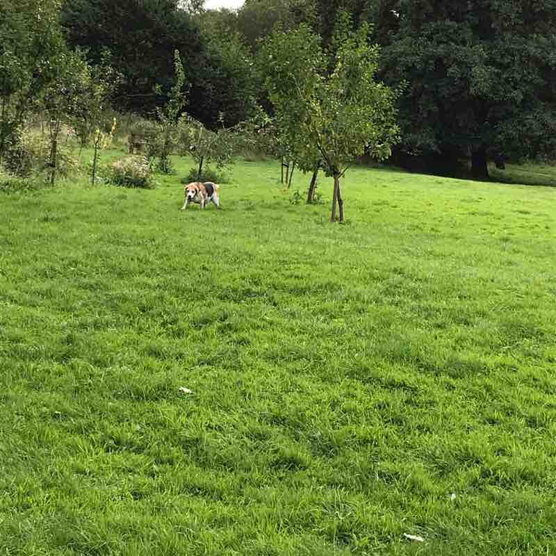 The old pitch and putt walking route map in Eccles