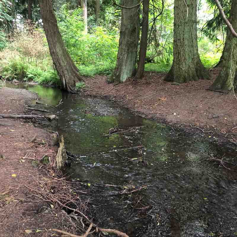 Discovery West from Carlsborg 