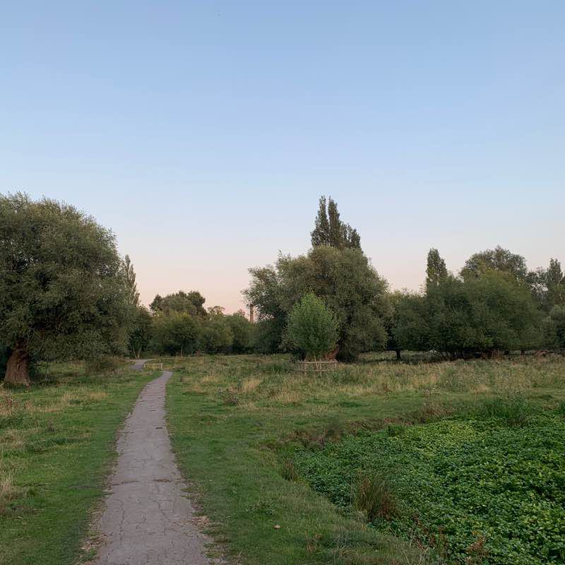 Circle Cambridge Run Trail England Pacer