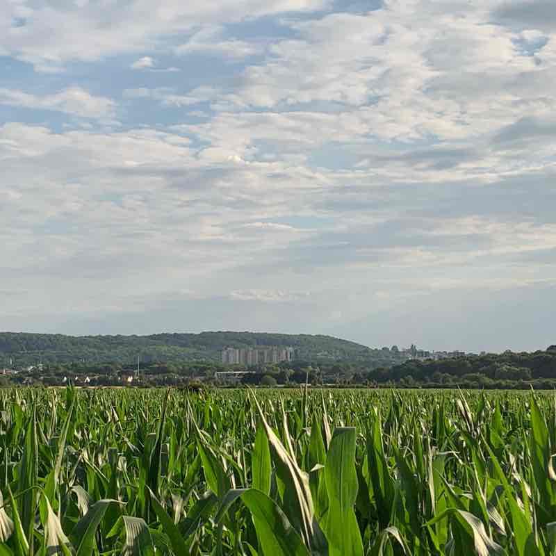 The race walking route map in Saint-Leu-la-Forêt