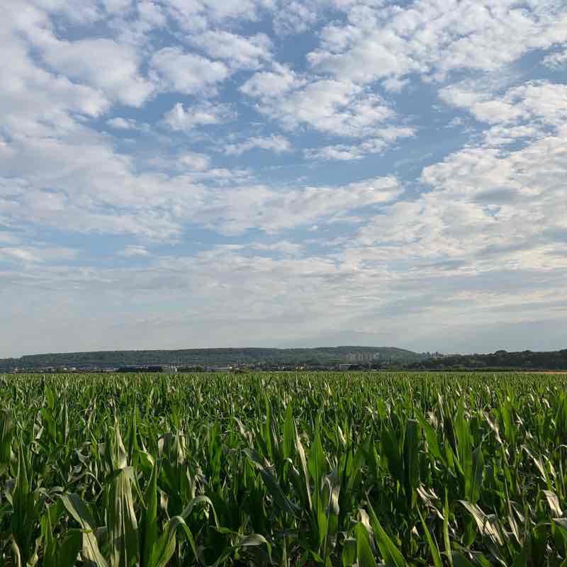 Sport walking route map in Franconville