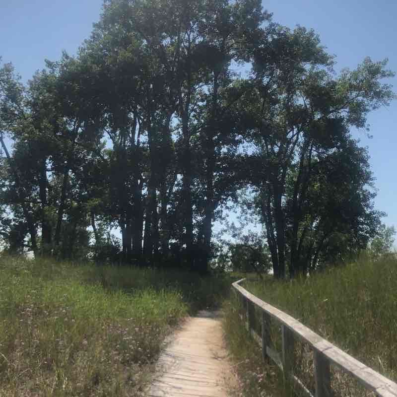 Port crecent park walking route map in Port Austin