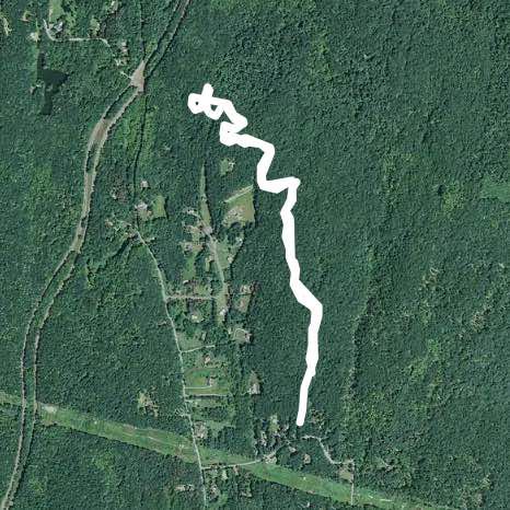 taconic trail