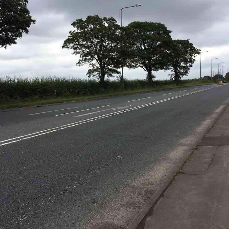 Dual carriageway walk! 