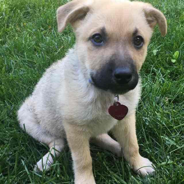 Longer walk than last night