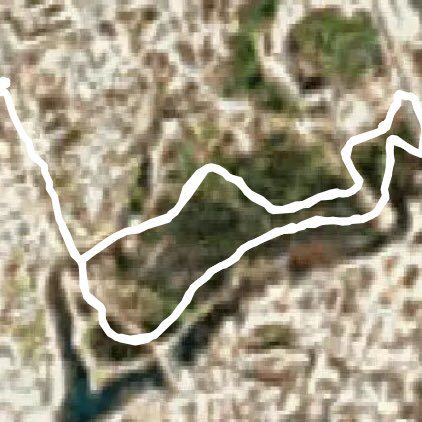 Сайма прекрасна