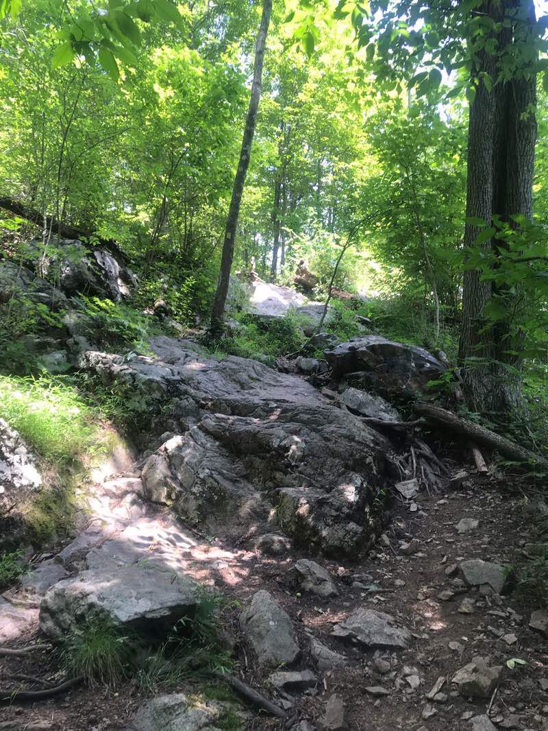walking near me on Ramapo Reservation walking route
