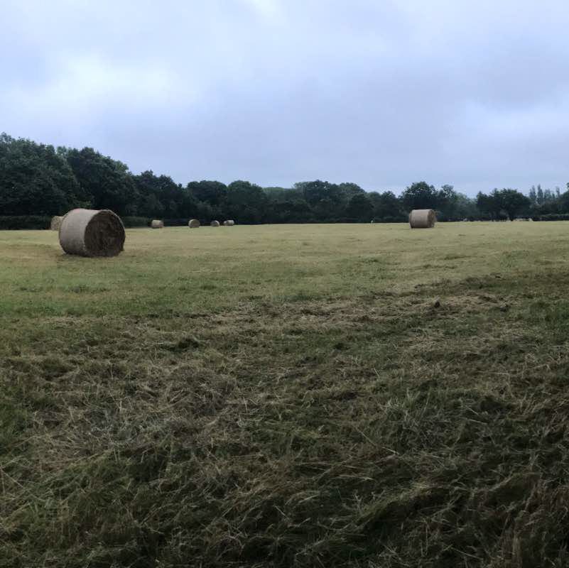 Cowden view point  walking route map in Cowden
