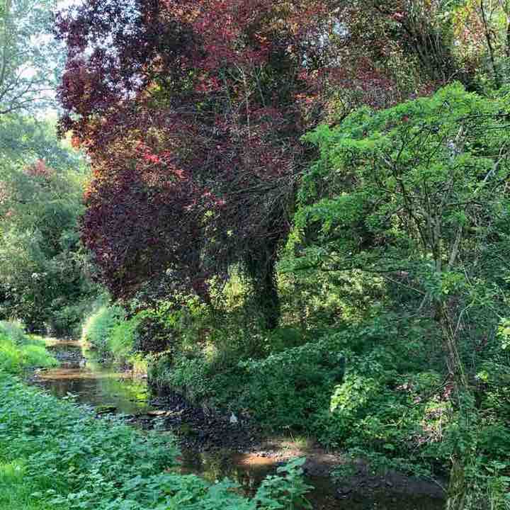Woodham Burn walk walking route map in Newton Aycliffe
