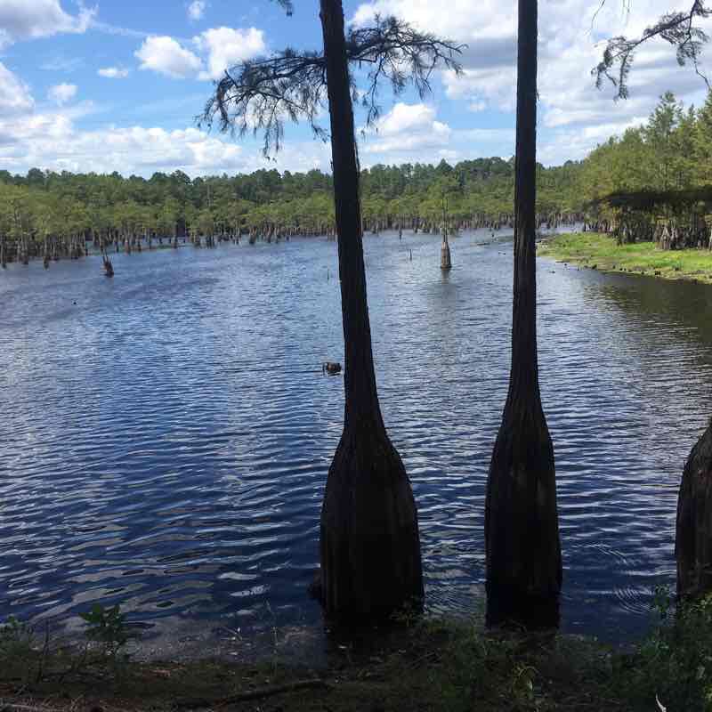 Mill house pond trail walking route map in Metter