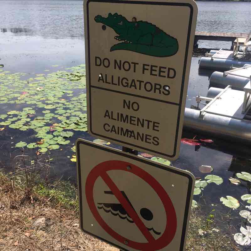 Swamp Lake Trail walking route map in Reidsville